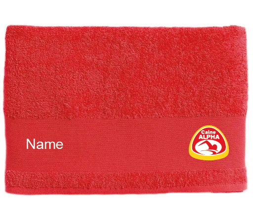 Calne Alpha SOL'S Island embroidered Towel